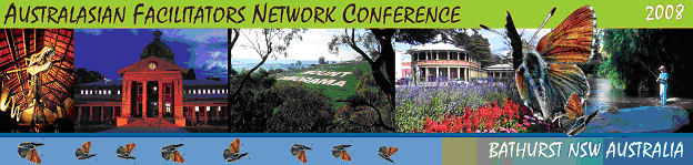 AFN 08 Conference banner